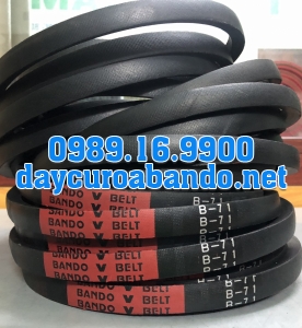 V-BELT B71