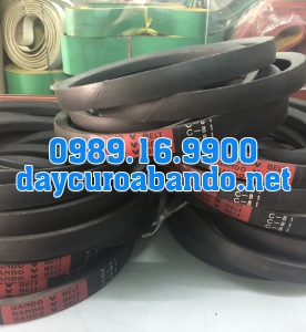 V-BELT C81