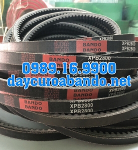 BANDO XPB2800